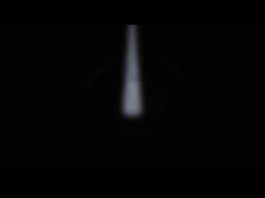 Μικροπυρηνικό M195T